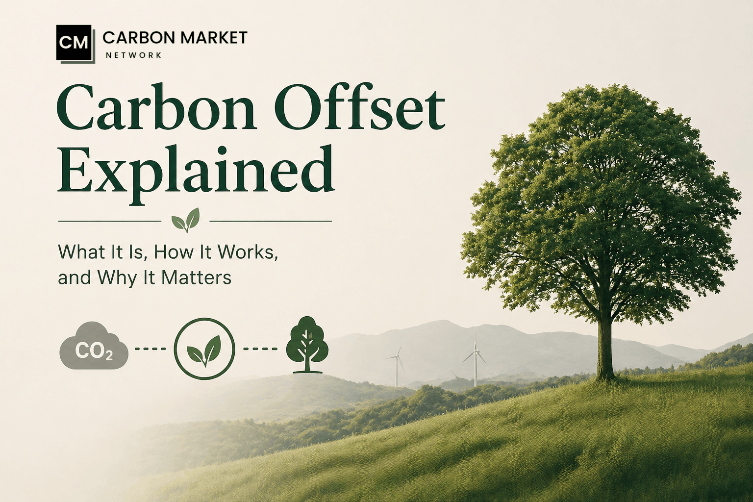 Carbon Offset Explained