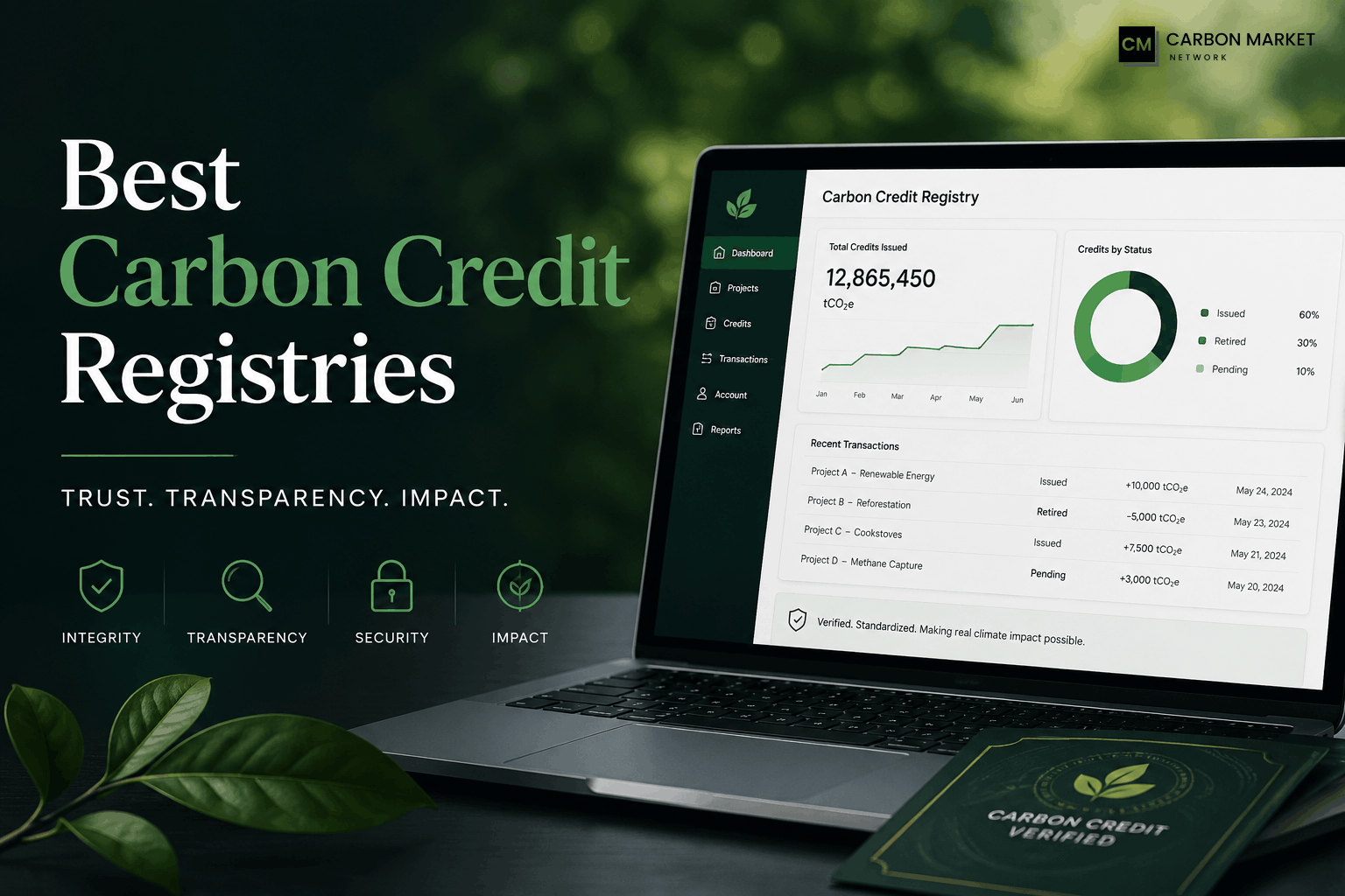 Best Carbon Credit Registries