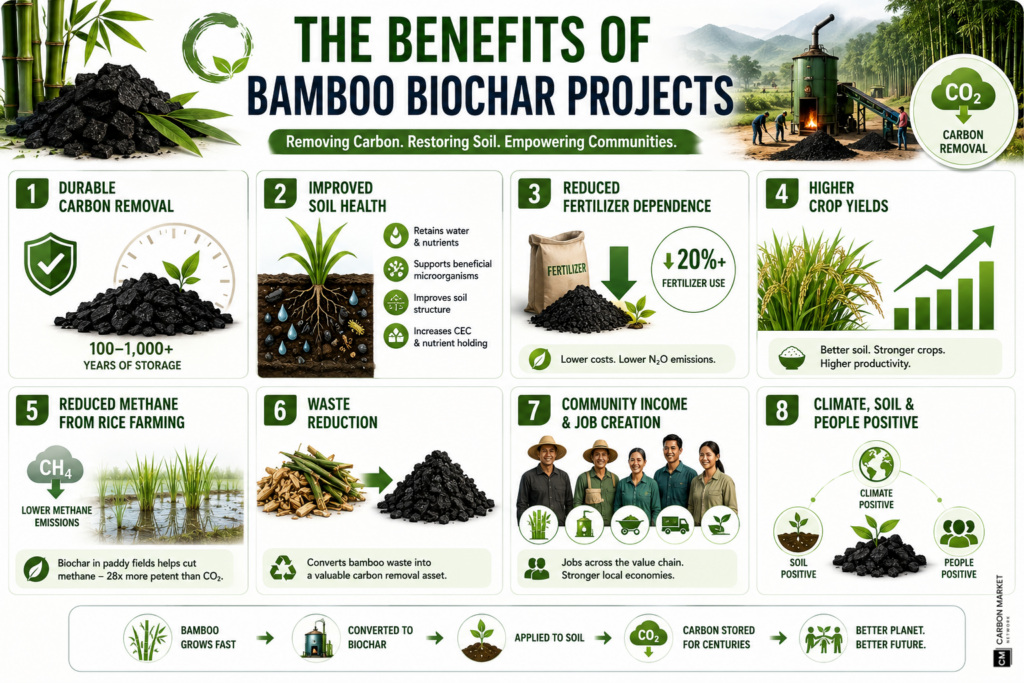 The Benefits of Bamboo Biochar Projects