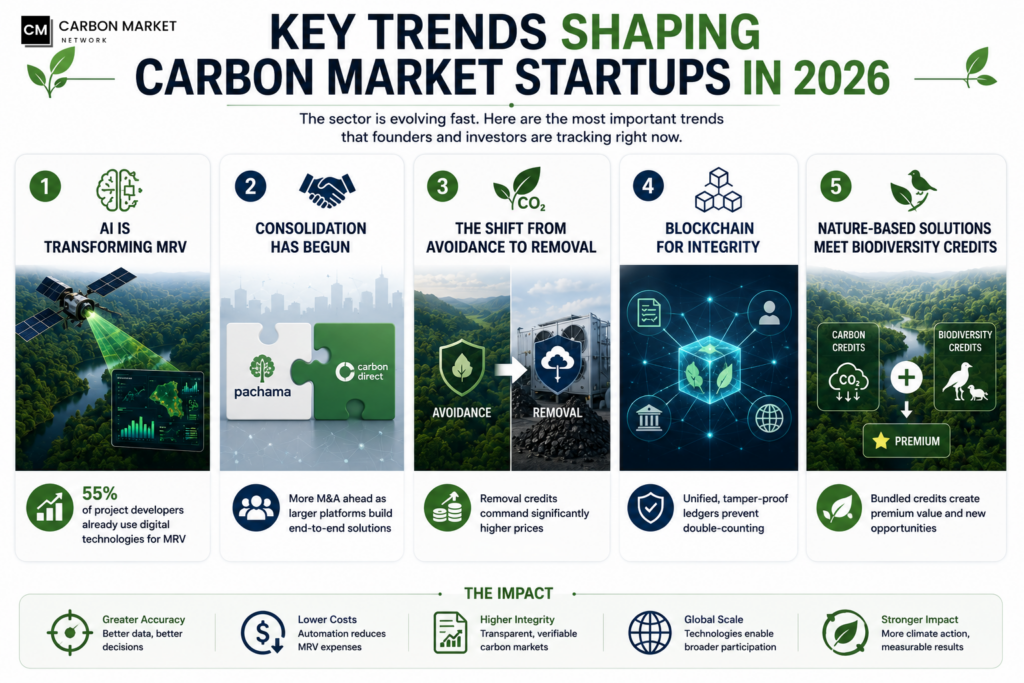 Key Trends Shaping Carbon Market Startups