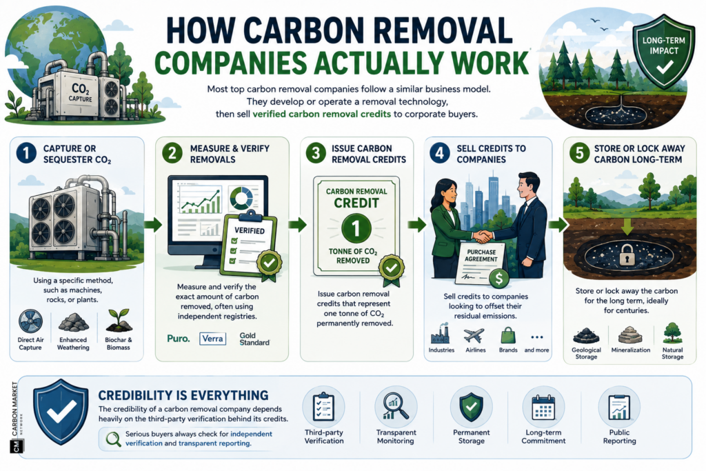 How Carbon Removal Companies Actually Work