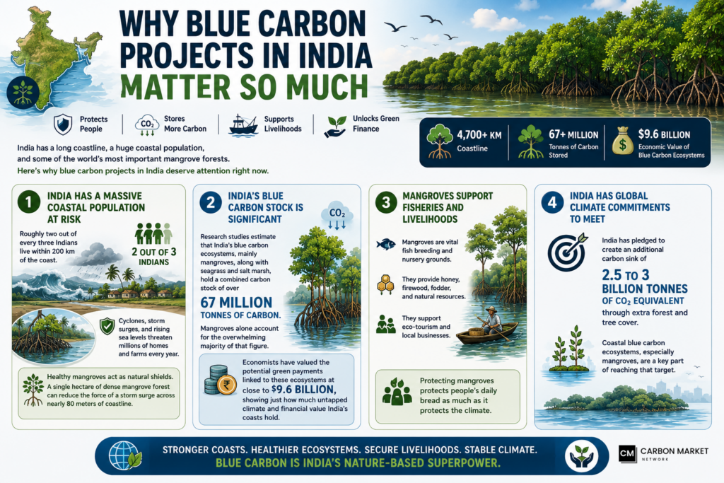 Why Blue Carbon Projects in India Matter So Much