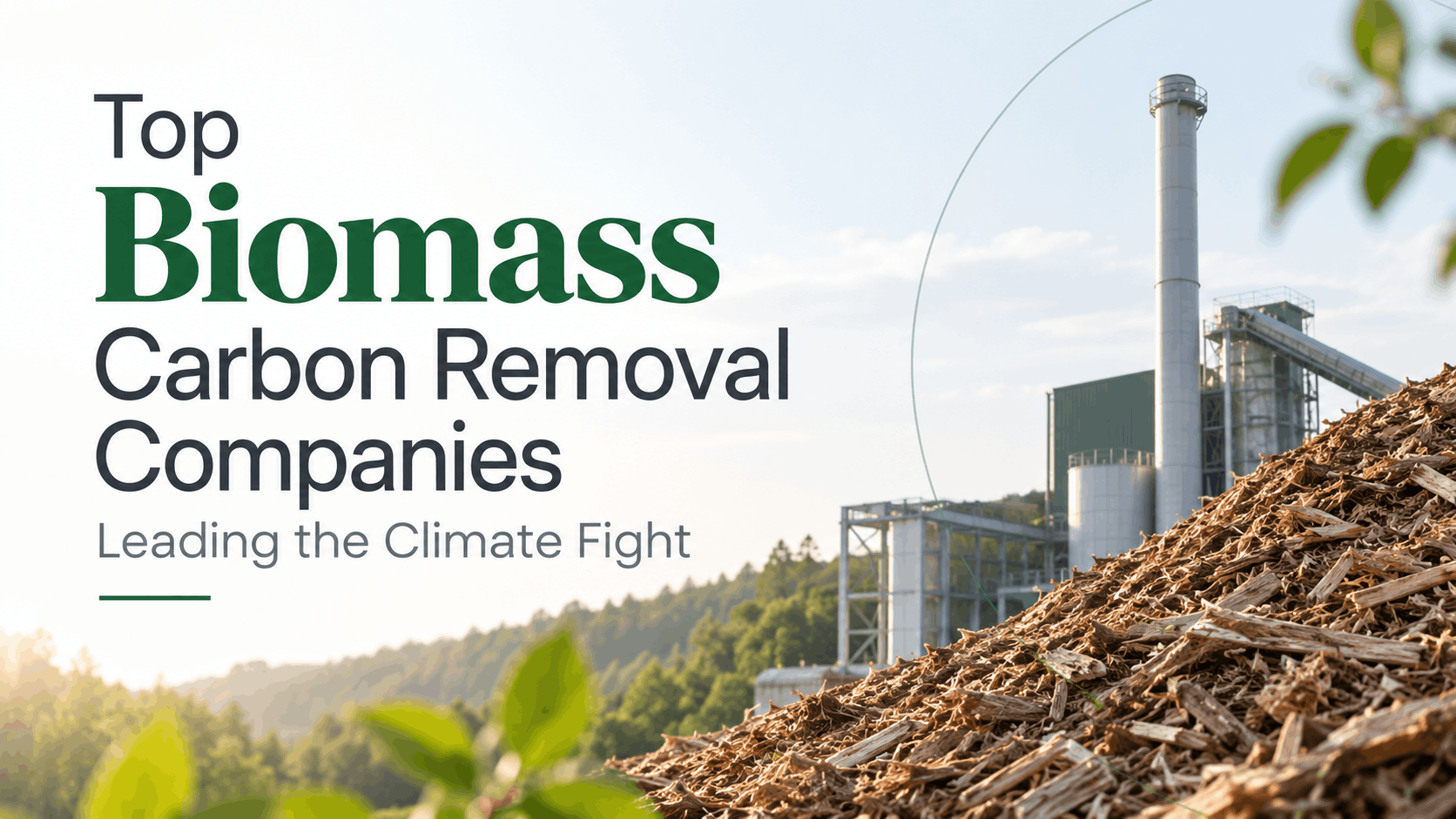Top Biomass Carbon Removal Companies Leading the Climate Fight