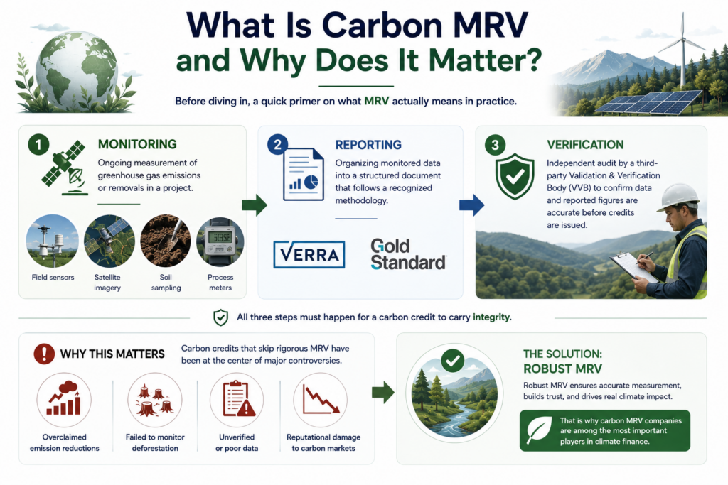 What Is Carbon MRV and Why Does It Matter