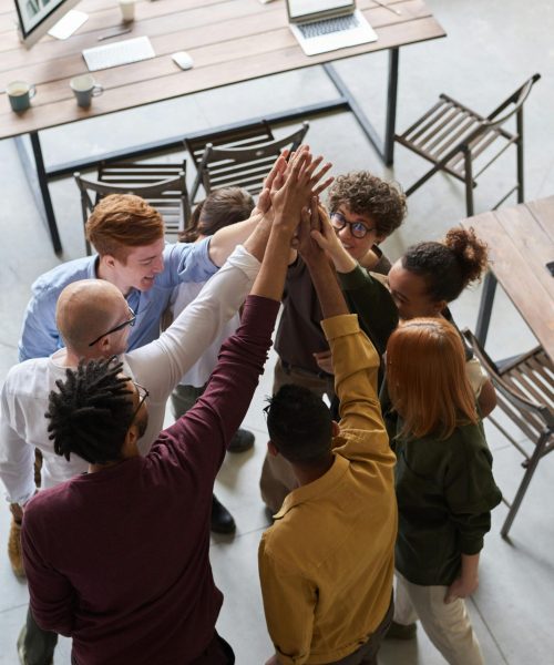 A diverse group of professionals high-fiving in a modern office, showcasing teamwork and collaboration.